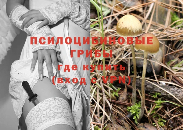 прущие крисы Аркадак