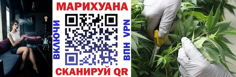Каннабис гибрид Снежногорск